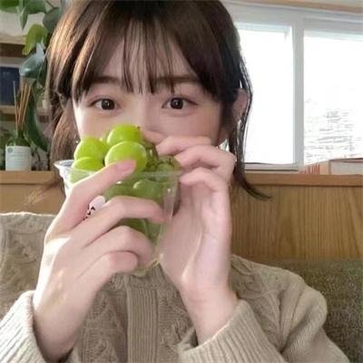 你好喵室友